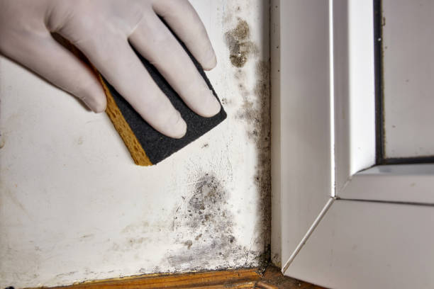 Trusted Madison Heights, MI Water damage restoration Experts